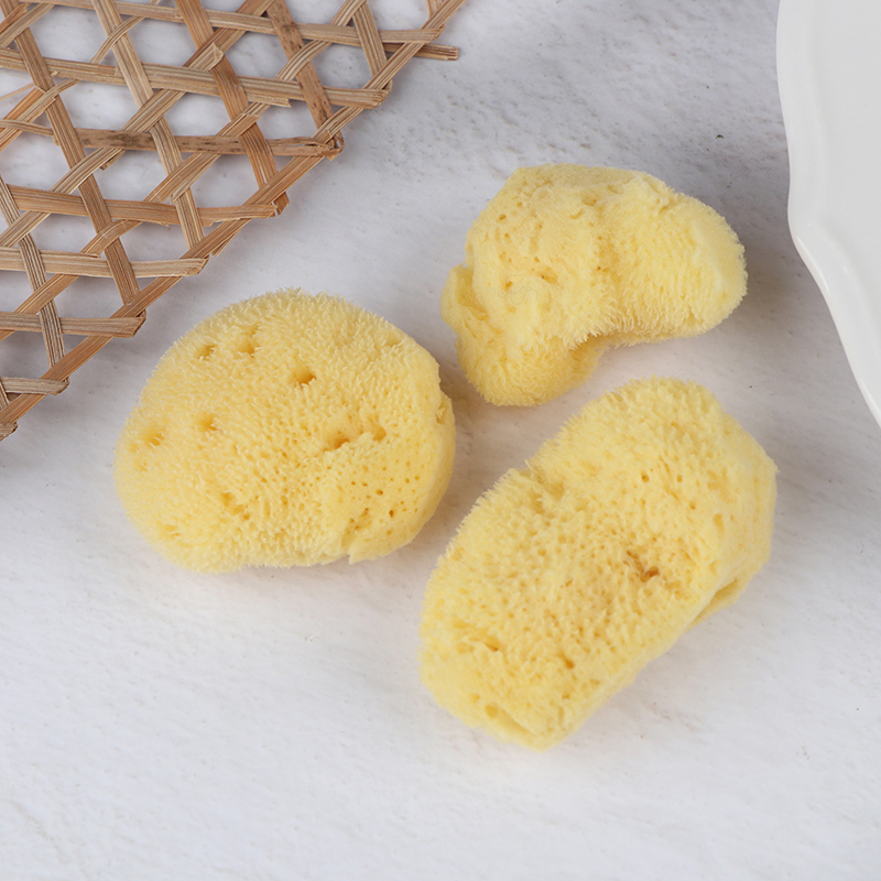Specjalistyczne narzędzie do c – Eco Sponge recenzja i cena