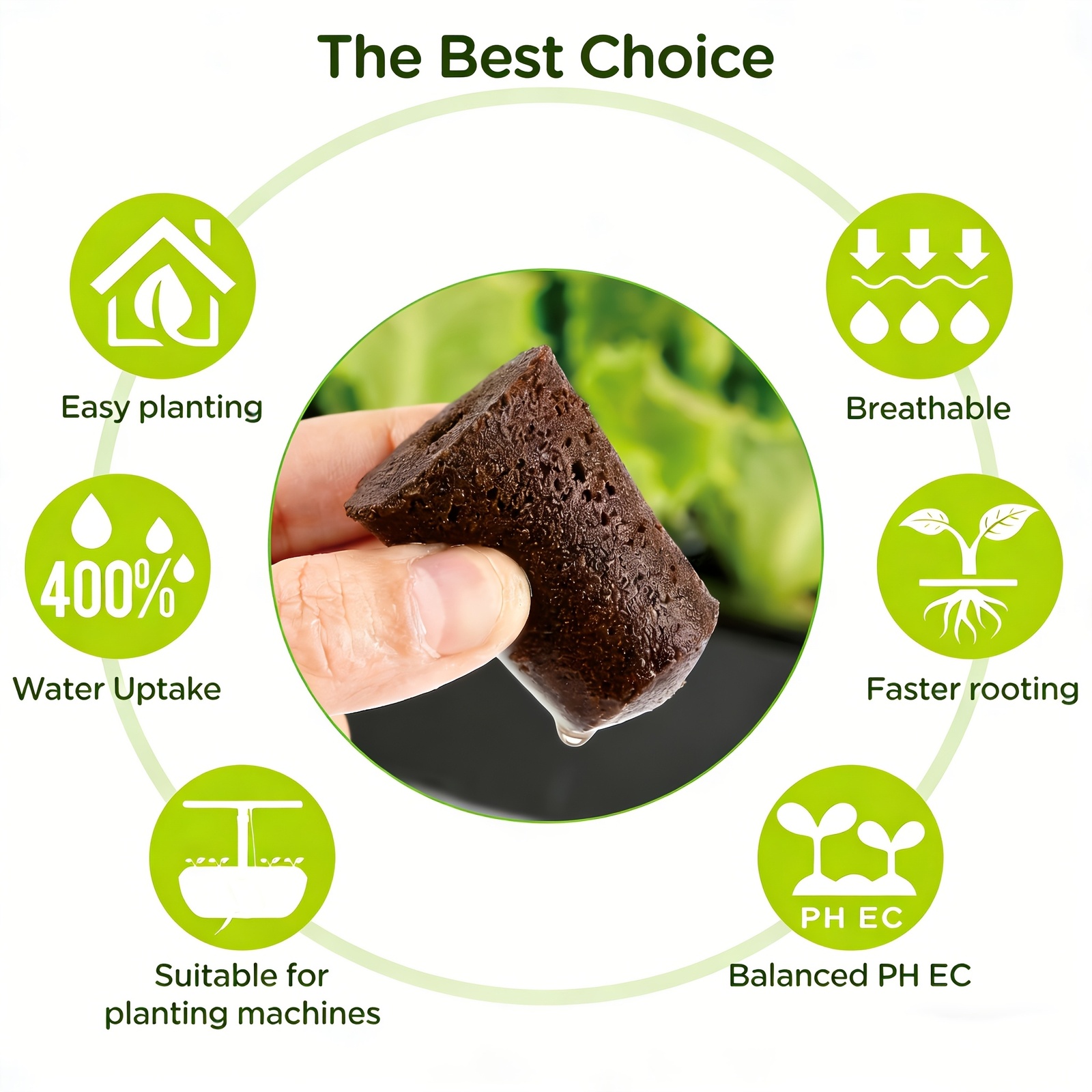 Gąbki do sadzenia roślin, 20 s – Eco Sponge recenzja i cena